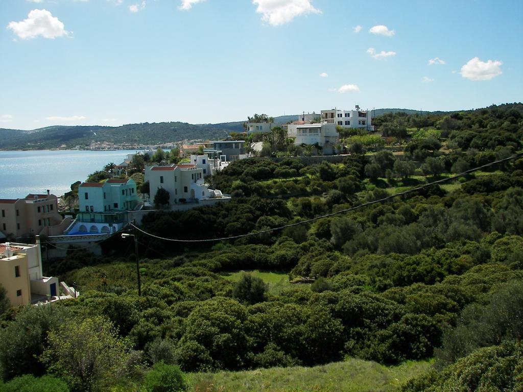 Skinari