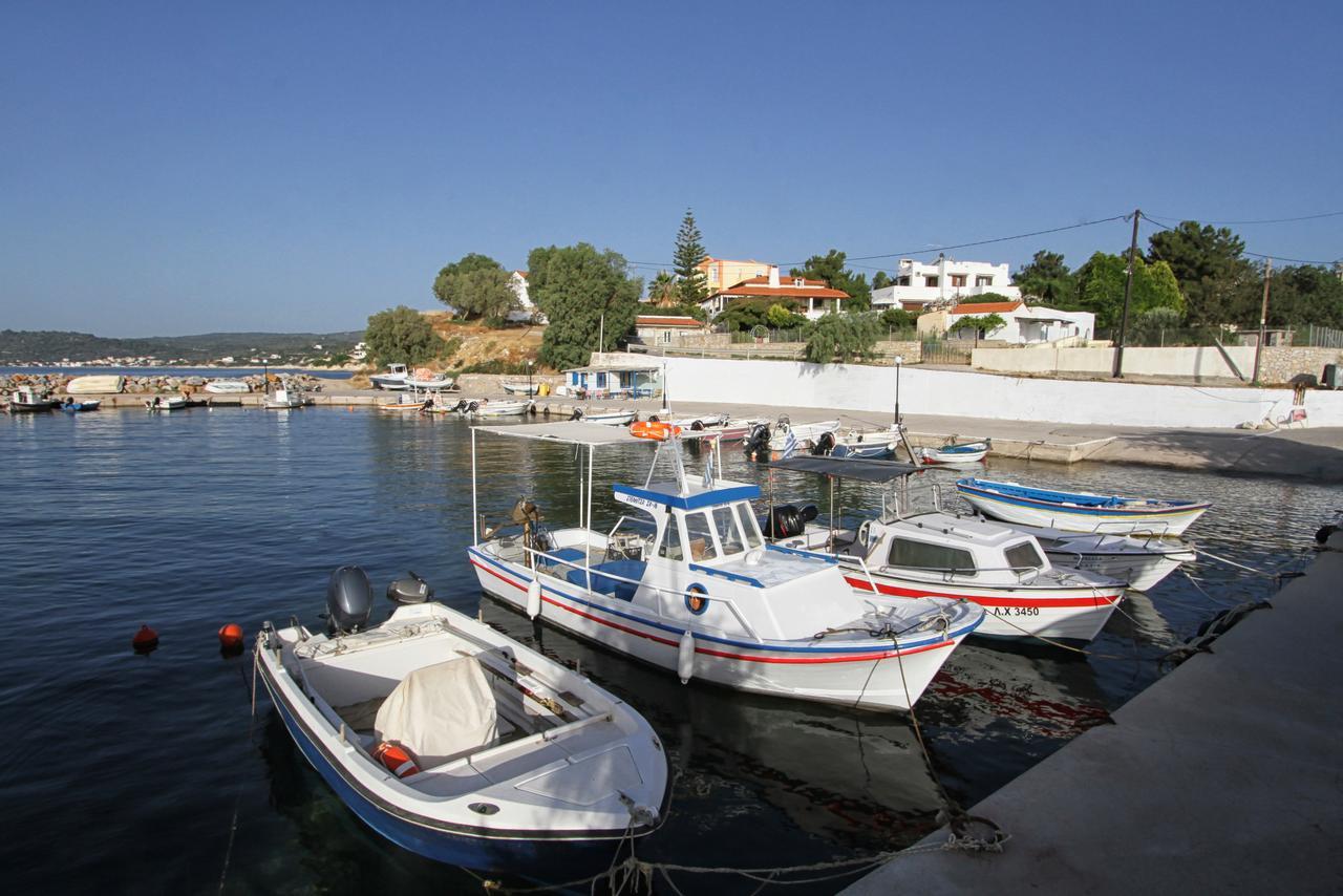 Skinari Monolia
